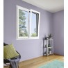 Fenêtre ou véranda en double vitrage sur mesure
