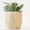 Verre armé Grande Maille